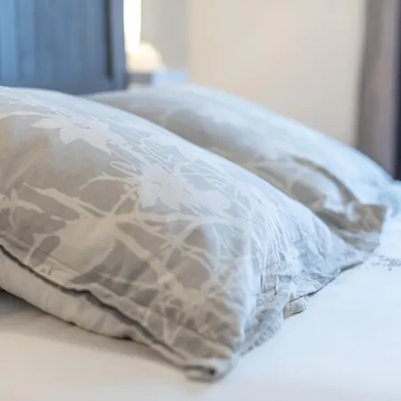 D'hotes Au Bougainvillier 3* 佩皮尼昂