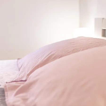 D'hotes Au Bougainvillier 3* 佩皮尼昂