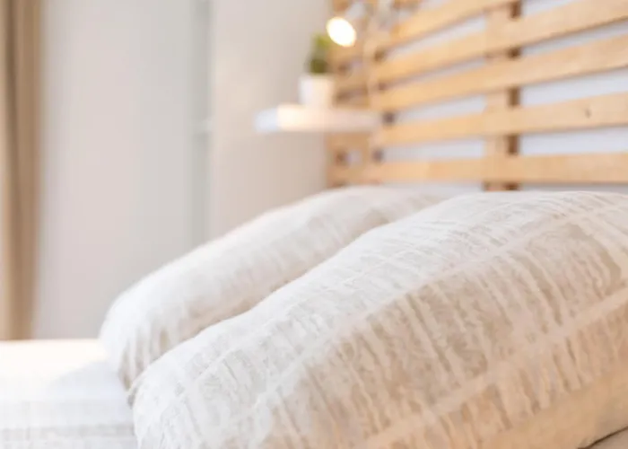 D'hotes Au Bougainvillier 佩皮尼昂