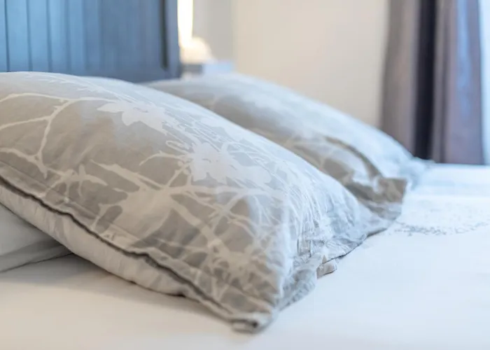 D'hotes Au Bougainvillier 3* 佩皮尼昂