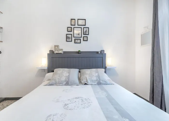 D'hotes Au Bougainvillier 住宿加早餐酒店 3*