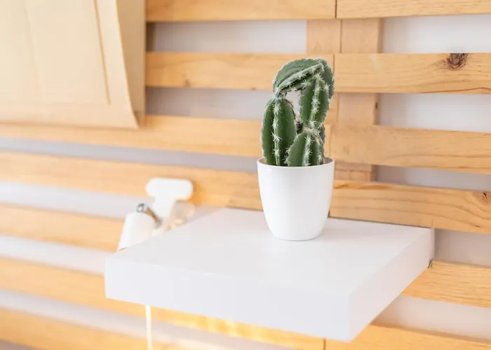 D'hotes Au Bougainvillier Perpignan