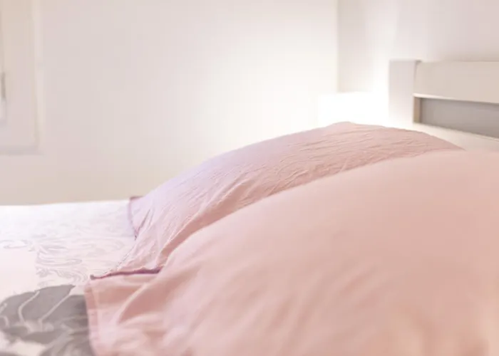 D'hotes Au Bougainvillier 3* 佩皮尼昂