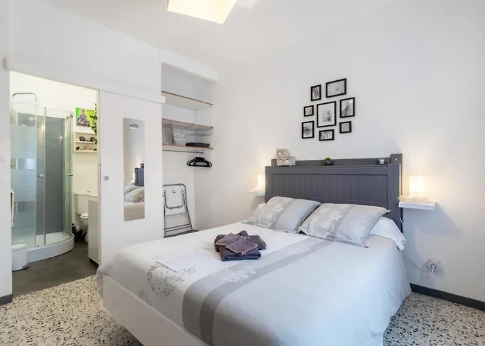 D'hotes Au Bougainvillier 佩皮尼昂